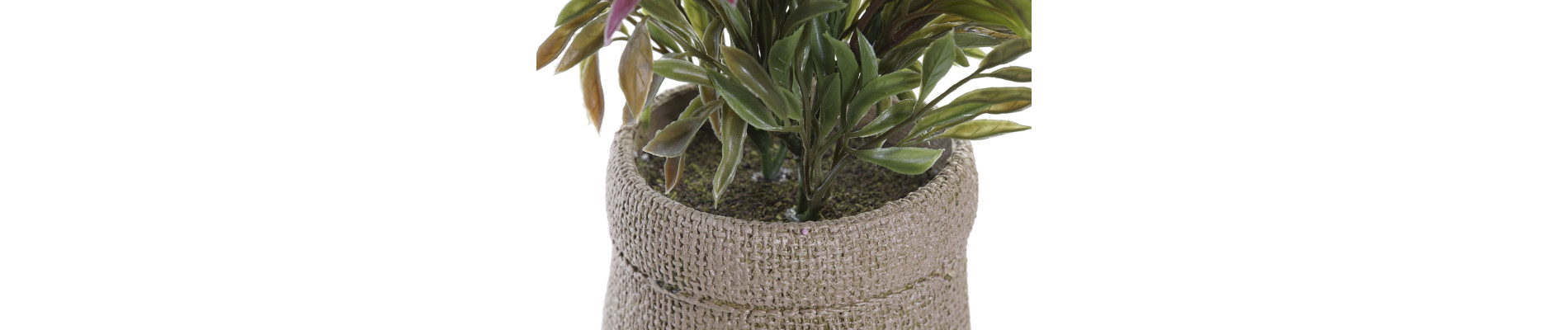 PLANTA PE EVA 16X16X21 2 SURT.