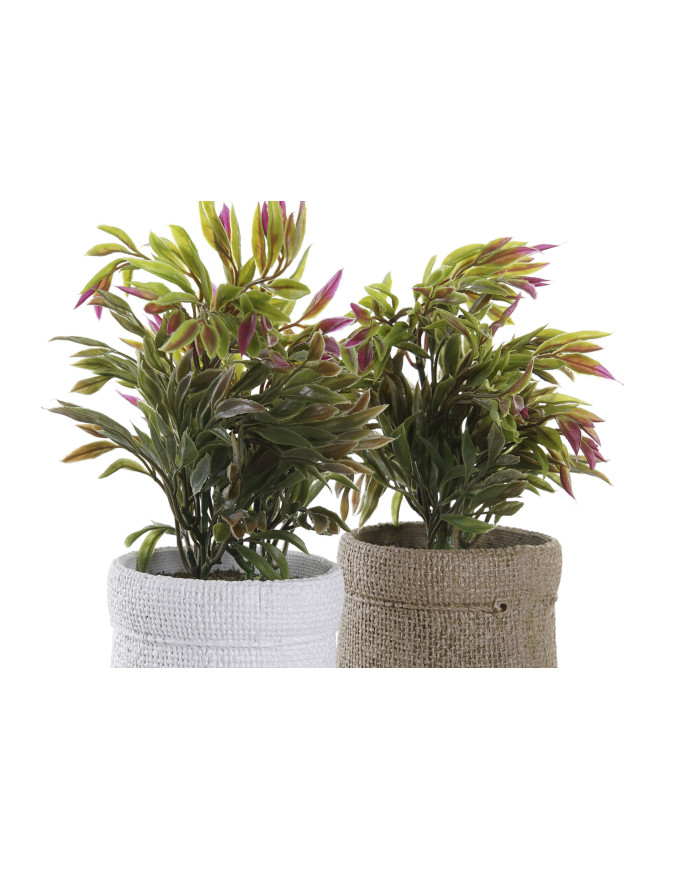 PLANTA PE EVA 16X16X21 2 SURT.