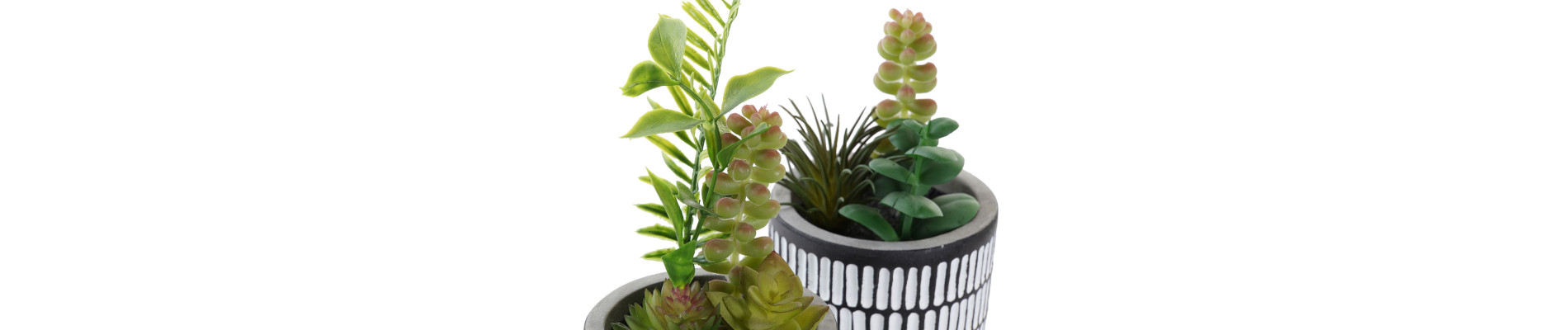 PLANTA CERAMICA PE 7X7X19 MACETA 2 SURT.