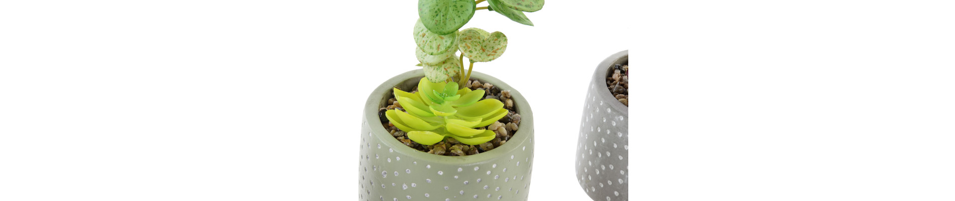 PLANTA CEMENTO PE 10X10X18 MATE 3 SURT.