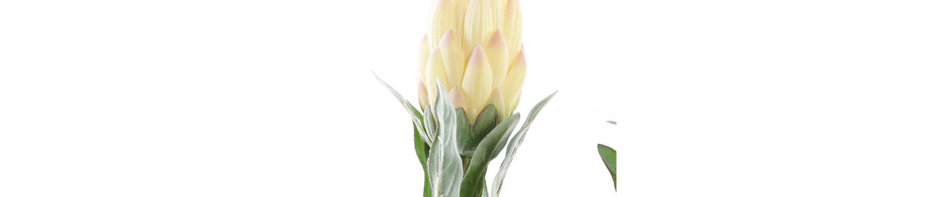 FLOR PE HIERRO 15X15X65 ALCACHOFA 2 SURT.