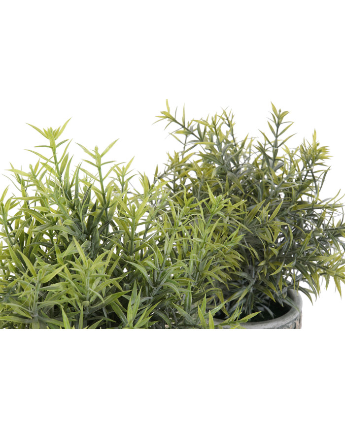 PLANTA RESINA PE 12X12X25 2 SURT.