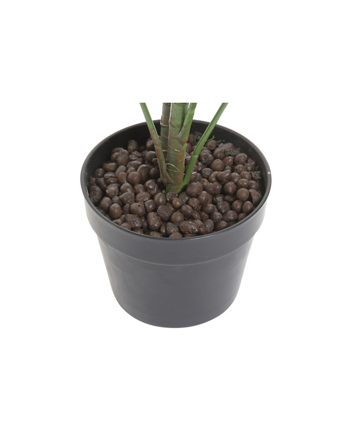 PLANTA PVC 64X64X90 FATSIA JAPONICA VERDE
