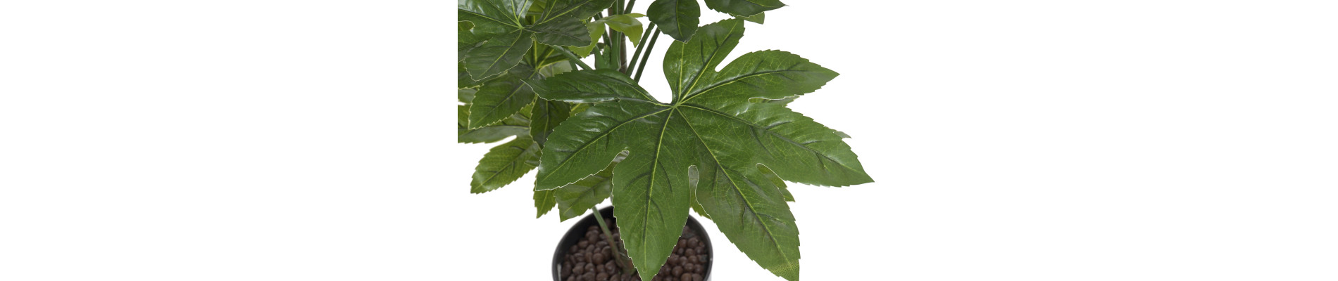 PLANTA PVC 64X64X90 FATSIA JAPONICA VERDE