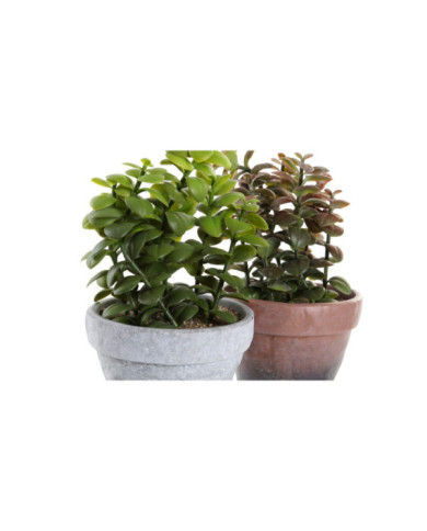 PLANTA PP EVA 16X16X29,5 2 SURT.