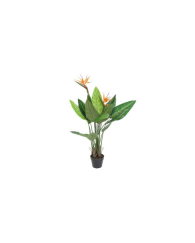 PLANTA PVC 80X80X120 STRELITZIA