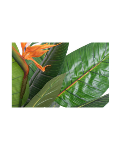 PLANTA PVC 80X80X120 STRELITZIA