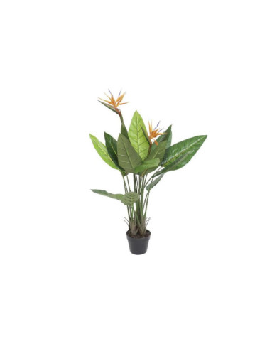 PLANTA PVC 80X80X120 STRELITZIA