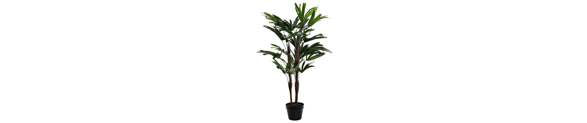 PLANTA PVC PP 70X70X102 PALMERA VERDE