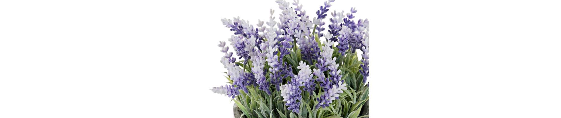 FLOR PE HIERRO 15X15X21 LAVANDA