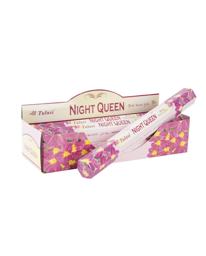 INCIENSO VARILLA SET 20 AROMA 25X4X4 25 CM, NIGHT