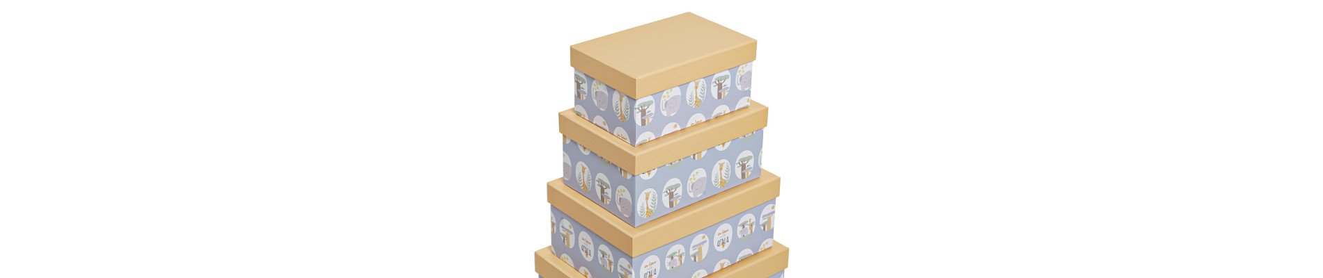 CAJA SET 10 CARTON 43,5X33,5X15,5 AZUL