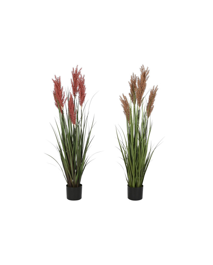 PLANTA PE PVC 35X35X120 PLUMERO 2 SURT.