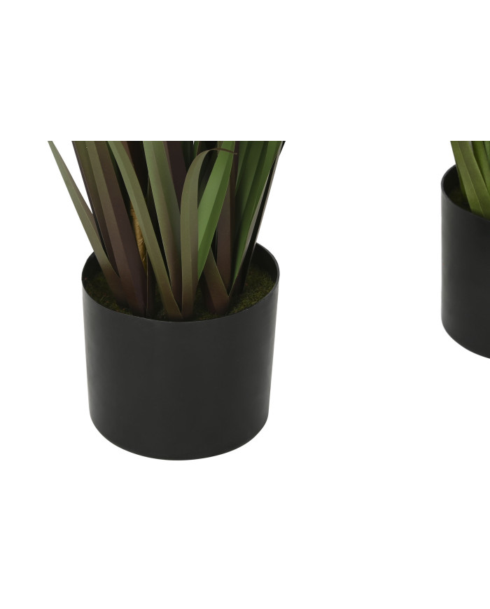 PLANTA PE PVC 35X35X120 PLUMERO 2 SURT.