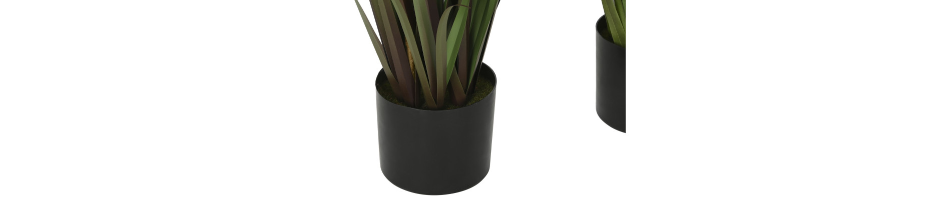 PLANTA PE PVC 35X35X120 PLUMERO 2 SURT.