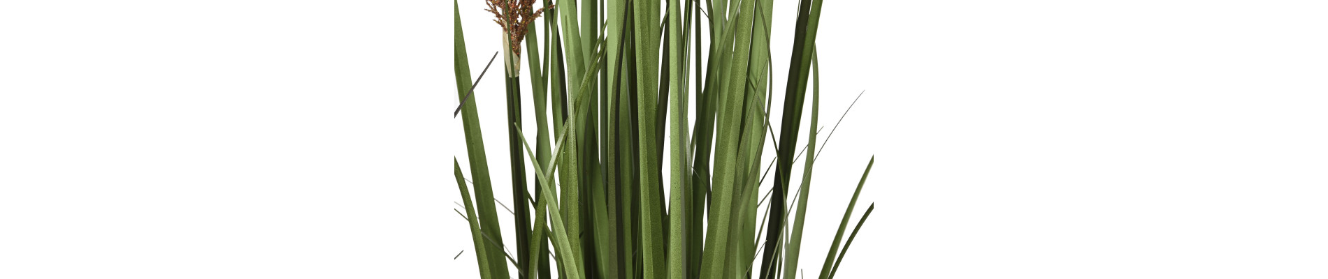 PLANTA PE PVC 35X35X120 PLUMERO 2 SURT.