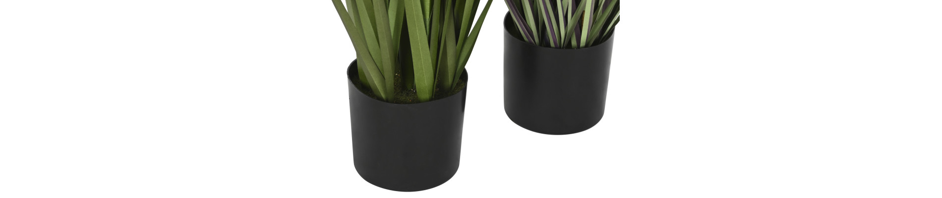 PLANTA PE PVC 25X25X90 PLUMERO 2 SURT.