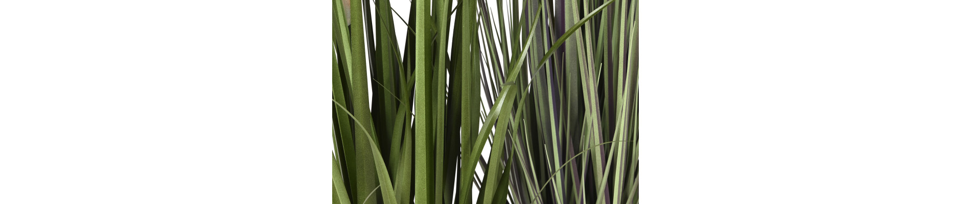 PLANTA PE PVC 25X25X90 PLUMERO 2 SURT.