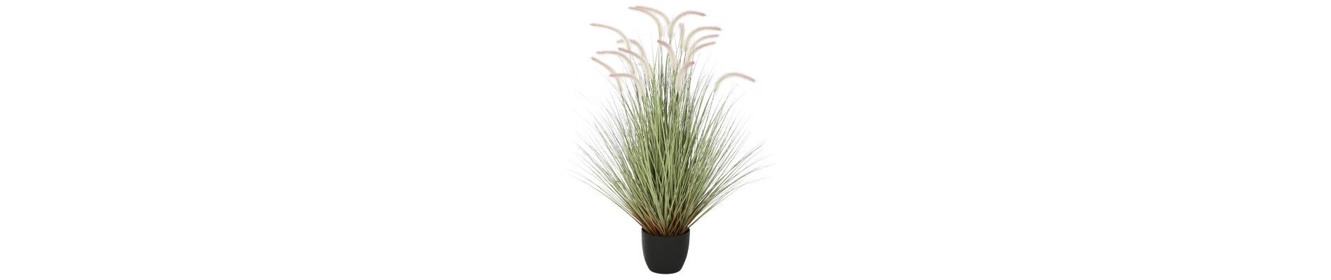 PLANTA PE PVC 50X50X90 COLA DE PERRO VERDE