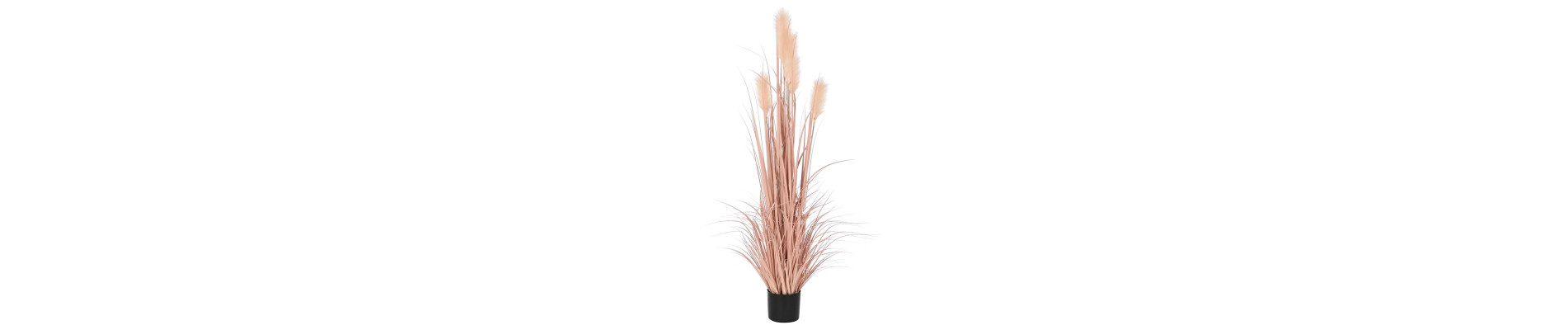 PLANTA PE PVC 35X35X120 PLUMERO CORAL