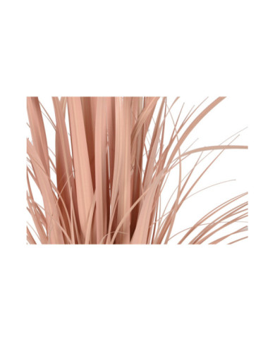 PLANTA PE PVC 25X25X80 PLUMERO CORAL