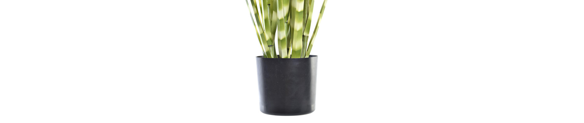 PLANTA PE PVC 30X30X90 ZEBRA VERDE
