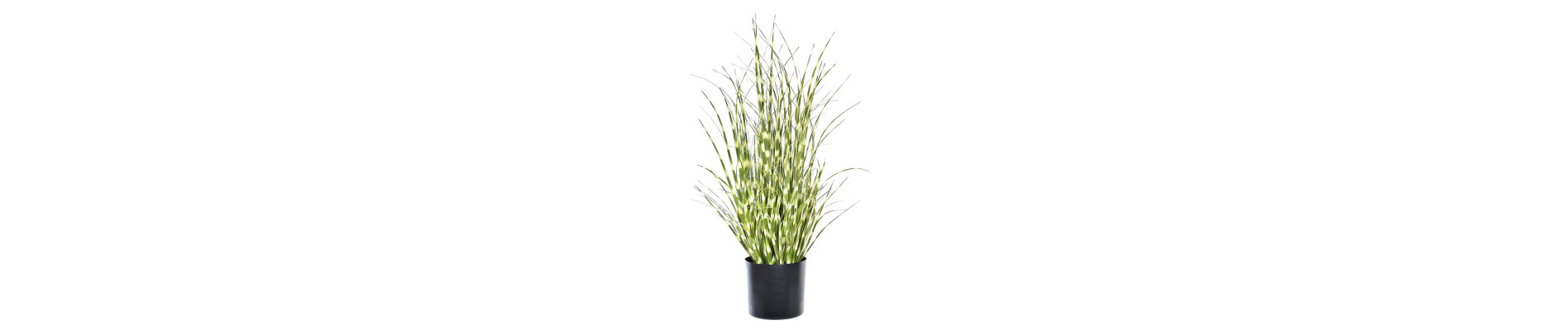 PLANTA PE PVC 20X20X60 ZEBRA VERDE