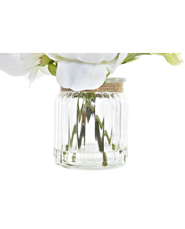 PLANTA TELA CRISTAL 7,5X7,5X38 2 SURT.