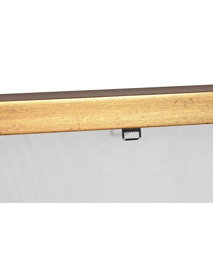 CUADRO LIENZO PS 50X3,5X70 PAPAGAYO LACADO 2 SURT.