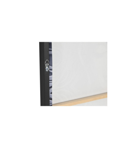 CUADRO PS LIENZO 83X4,5X123 BUDA ENMARCADO 2 SURT.
