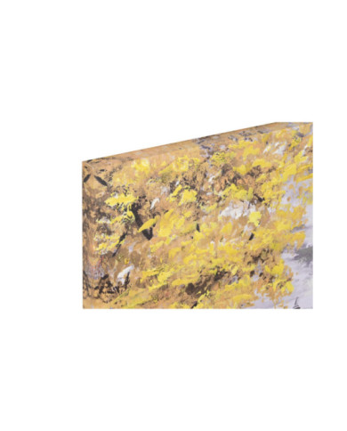 CUADRO LIENZO MDF 100X3X70 CIUDAD 2 SURT.