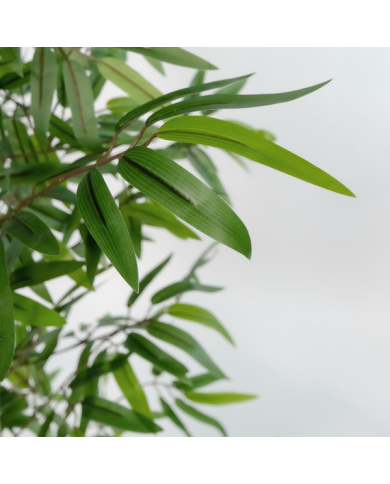 ARBOL PVC BAMBU 40X40X180 BAMBU VERDE