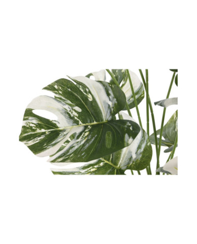 PLANTA PP CERAMICA 46X46X66 MONSTERA VERDE