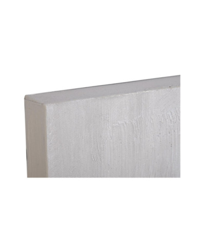 CUADRO LIENZO PINO 90X3,7X120 LEON 2 SURT.