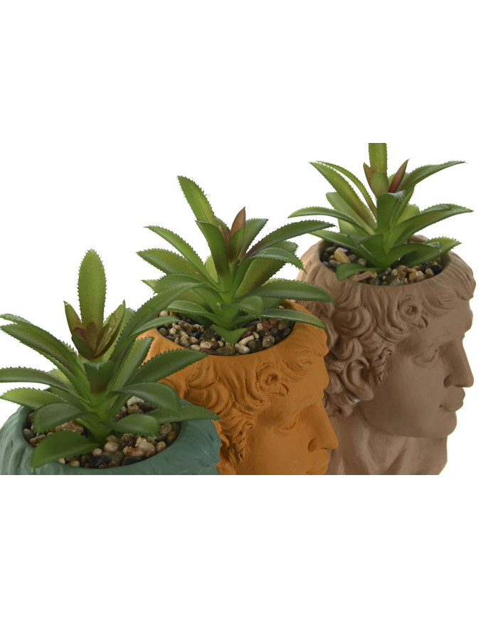 PLANTA PE CEMENTO 10,5X10,5X18,5 HOMBRE 3 SURT.