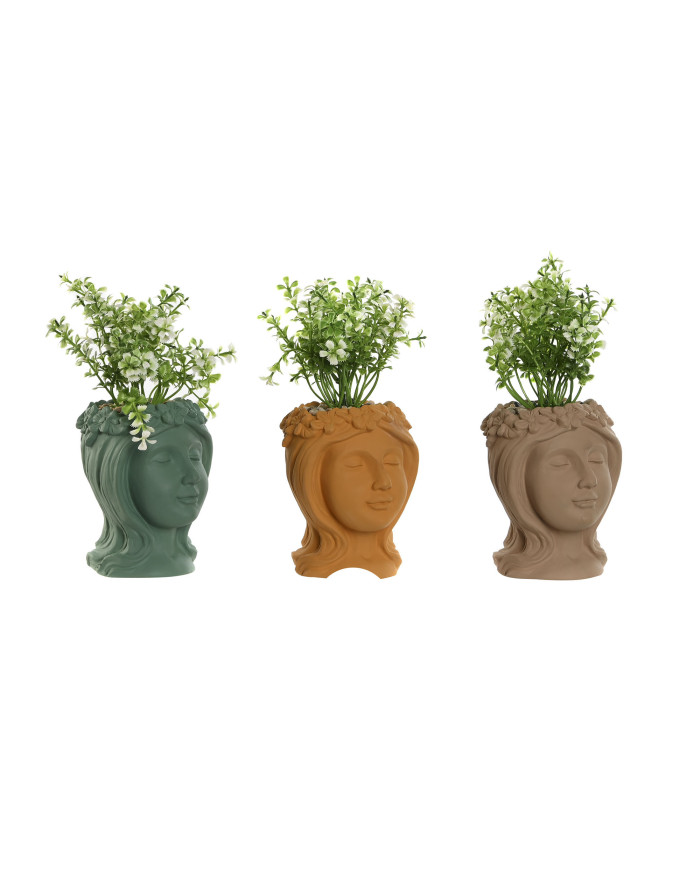 PLANTA PE CEMENTO 9,5X10X20 MUJER 3 SURT.