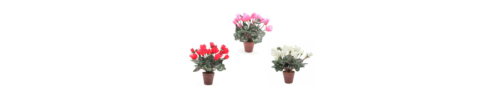 MACETA GERBERAS DE 16CM ALTO
