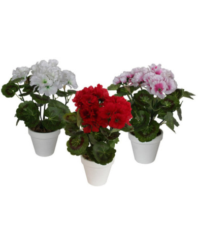 MACETA GERANIUM 28H