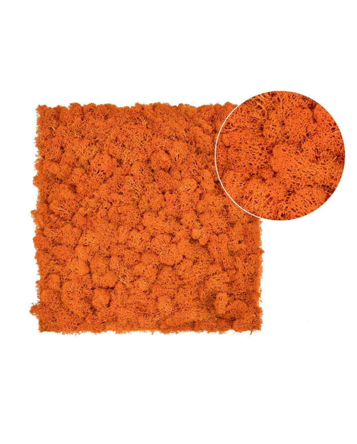 MUSGO NATURAL 40X40 NARANJA