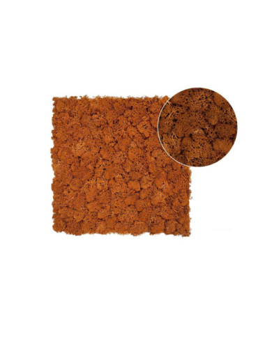 MUSGO NATURAL 40X40 MARRON