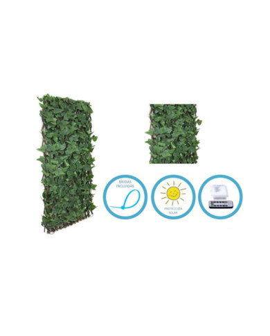 CELOSIA EXT HIEDRA 70LED MANDO 100X150