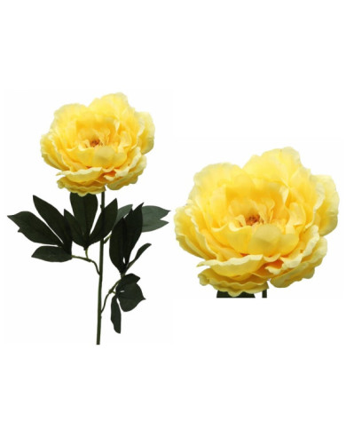 PEONIA SARAH 67 CM AMARILLO