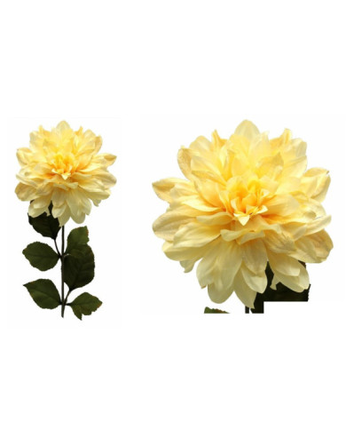 DALIA ELEGANCE AMARILLO