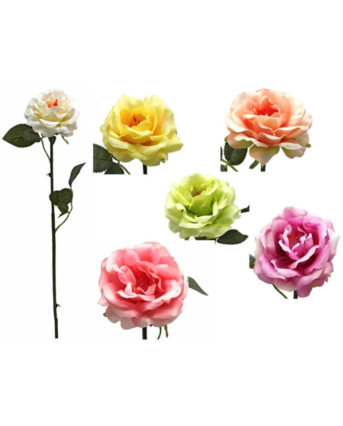 VARA ROSA ANASTASIA 52CM SURTIDA