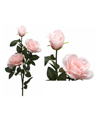 ROSAL X3 ROSA