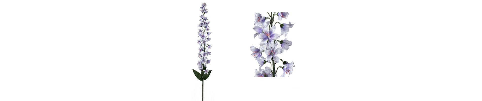 VARA DELPHINIUM BLANCO PURO