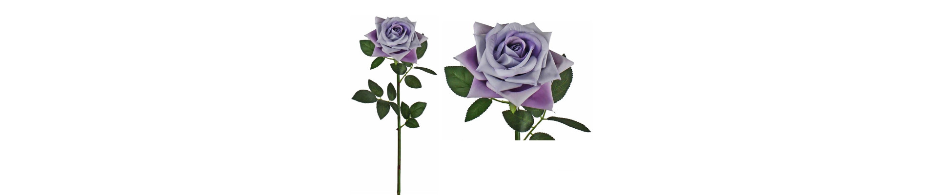 VARA ROSA GRANDE ROSA