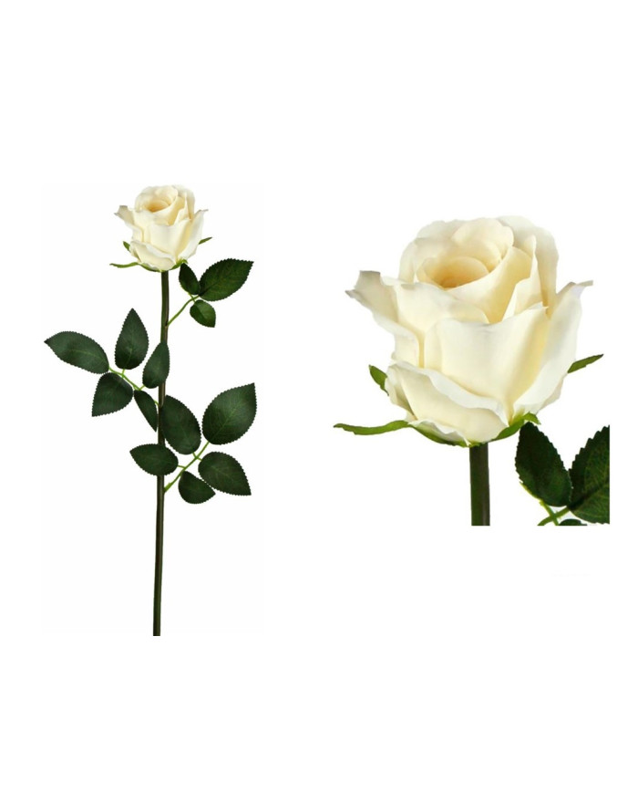 CAPULLO ELEGANCE ROSA LINA BLANCO PURO