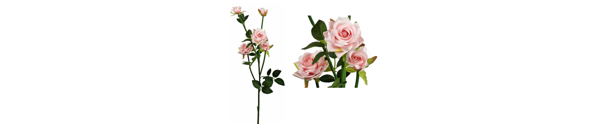 CAPULLO ROSA LINA X5 AMARILLO