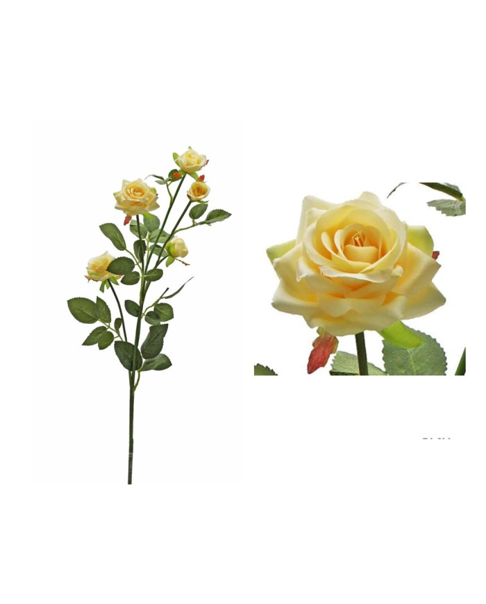 CAPULLO ROSA LINA X5 AMARILLO